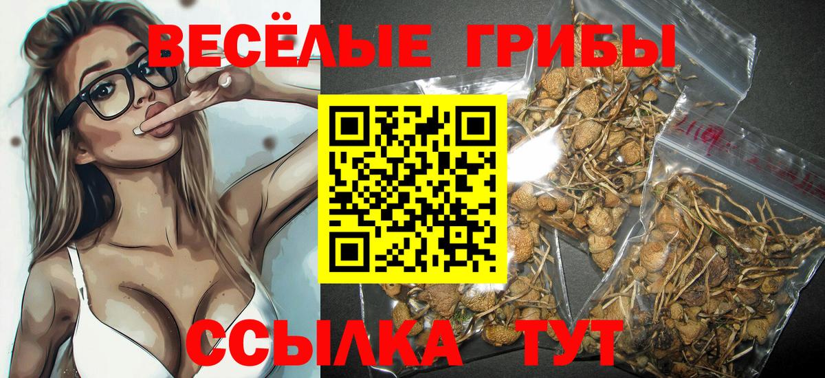 Псилоцибиновые грибы MAGIC MUSHROOMS Шумерля