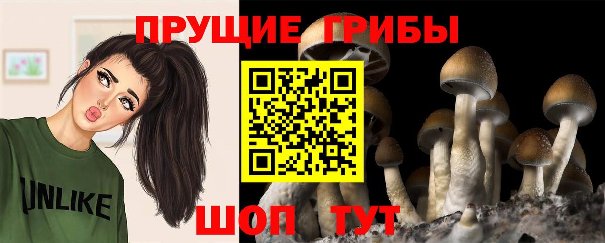 Шумерля  Псилоцибиновые грибы GOLDEN TEACHER  Псилоцибиновые грибы мухоморы  Вход с VPN 